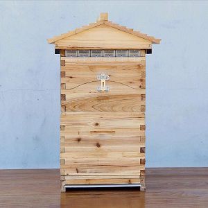 Thùng nuôi ong 2 tầng hiện đại - Vật Tư Sản Xuất Mật Ong Đức